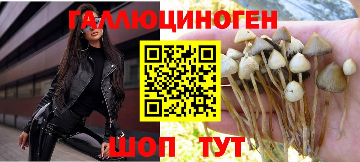 Псилоцибиновые грибы Magic Shrooms Новоуральск