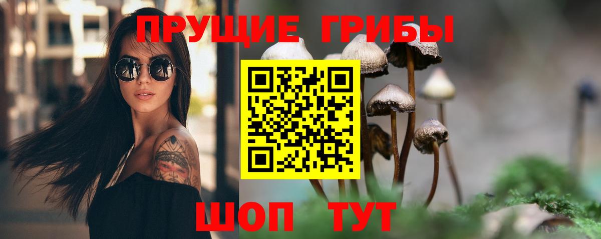 Галлюциногенные грибы Psilocybine cubensis  Вход с VPN  Новоуральск 